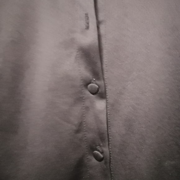 Silky Chic Black Blouse - Picture 5 of 6